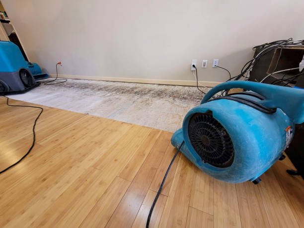 Professional Ceiling Water Damage Repair technician working in Wilberforce, OH